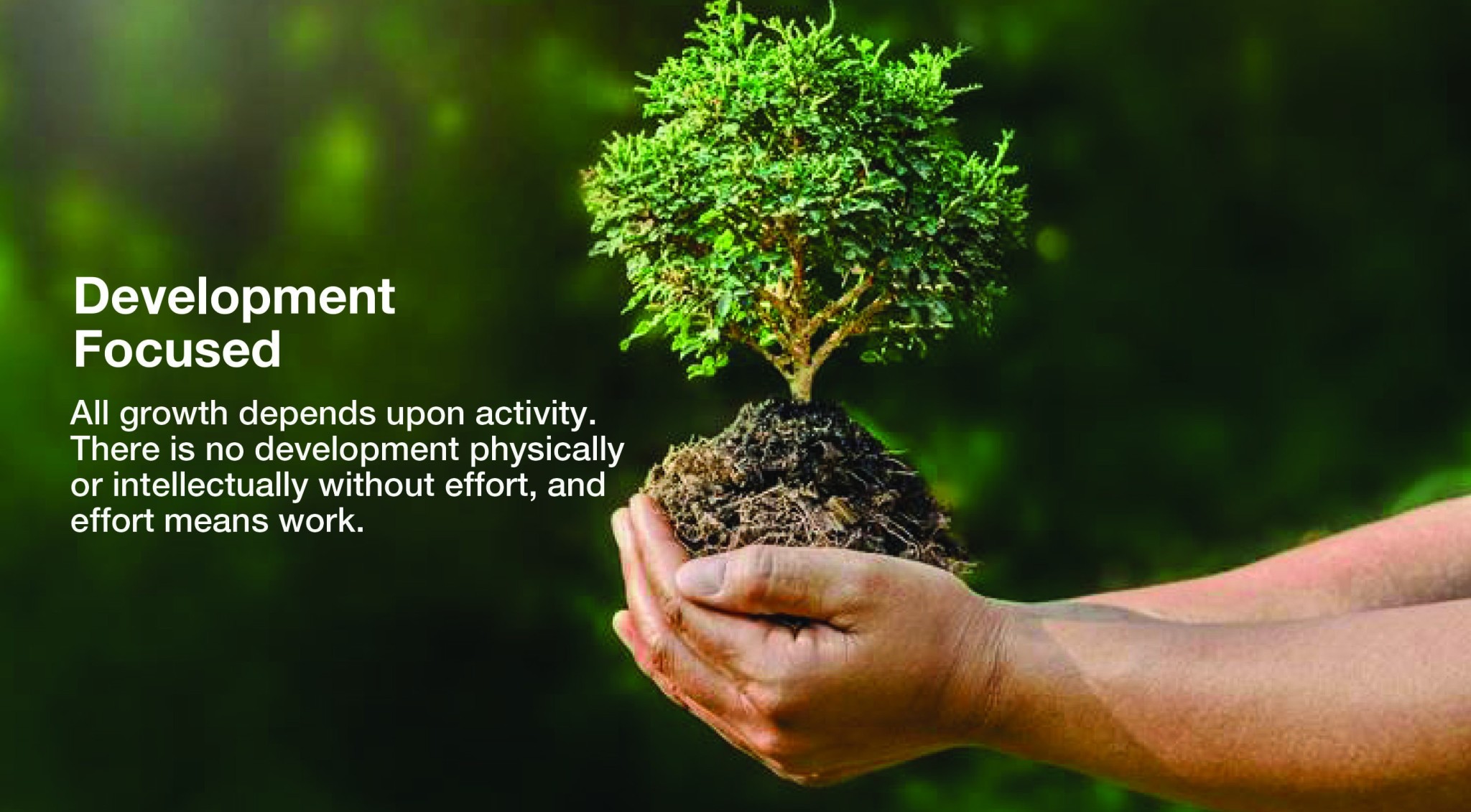 Development Focused
