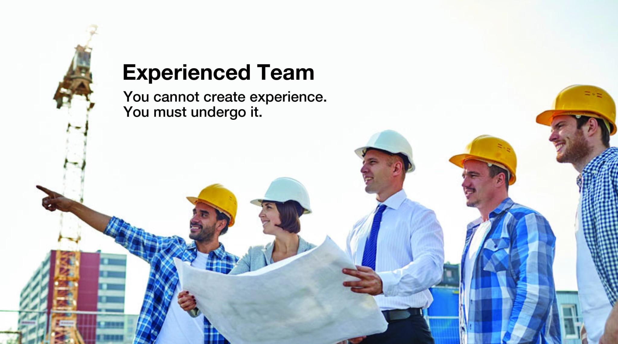 Experienced Team